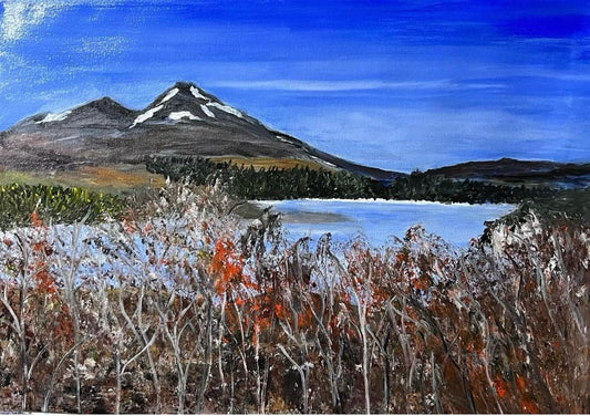 Vista al Volcán